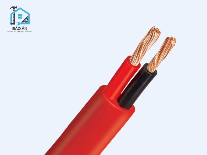 Dây pha (dây nóng) phải đi qua công tắc, không được đấu dây nguội vào công tắc