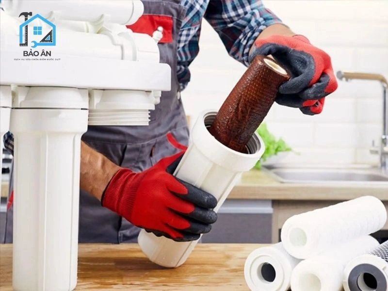 Nếu lõi bị chuyển màu nâu sẫm